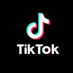 Download TikTok Videos