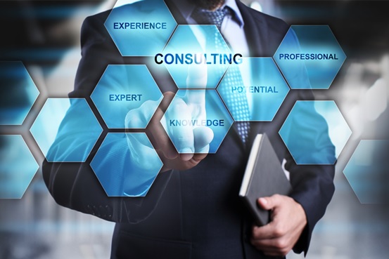 SEO consulting