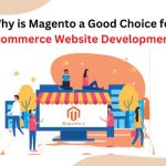 eCommerce Website Development