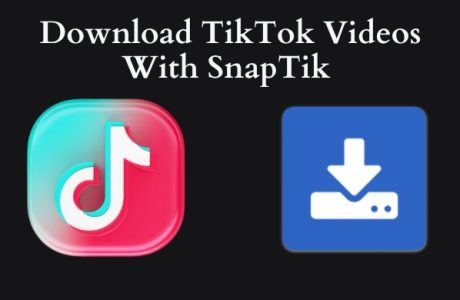 SnapTik Tiktok Video Downloader
