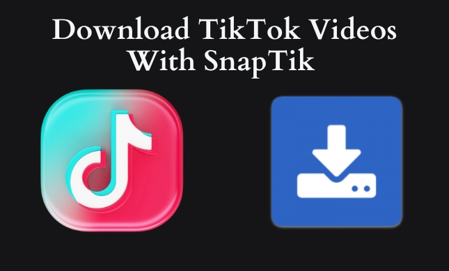 SnapTik Tiktok Video Downloader