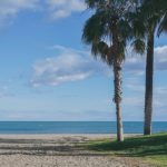 Discover the Best Beaches in Malaga