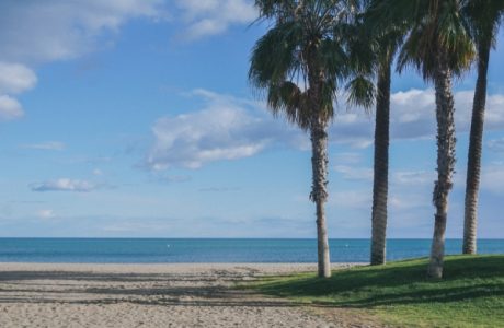 Discover the Best Beaches in Malaga