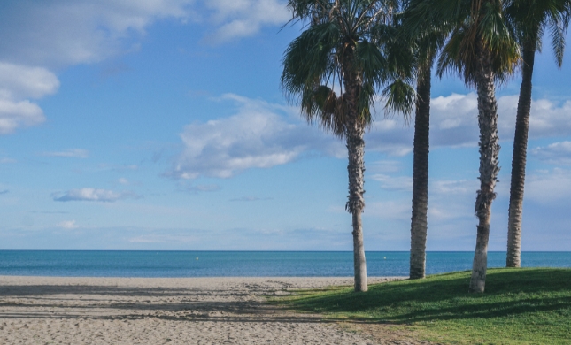 Discover the Best Beaches in Malaga