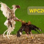 WPC2029 Live Dashboard
