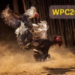 WPC2027 Live