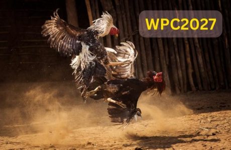 WPC2027 Live