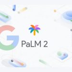 Palm 2