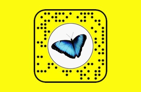 butterflies lens on snapchat