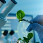 BioTech: Diversification, Problem Solving