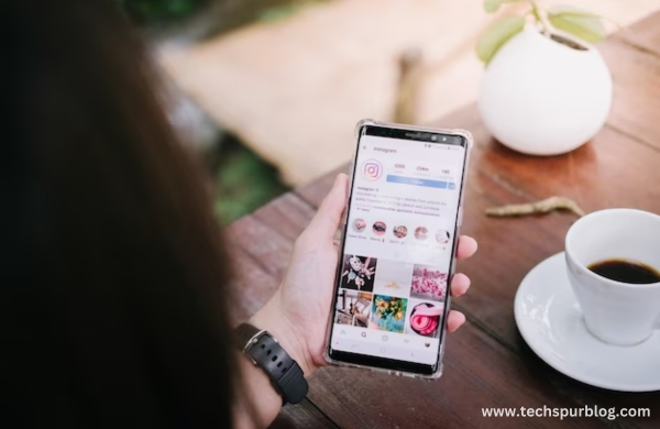 instagram viewer picnob