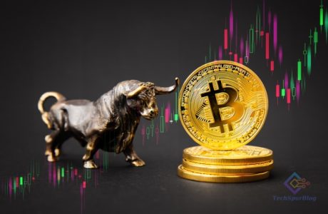 Bitcoin Price Predictions