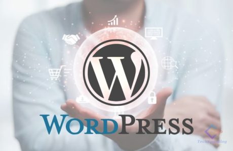 Exploring Trends and Innovations in WordPress Development