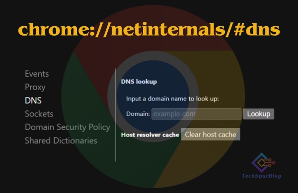 chrome net internals dns