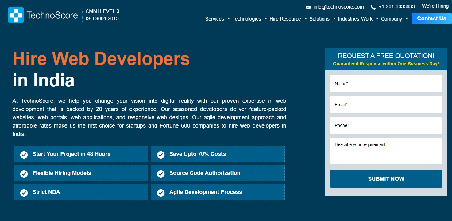 Hire Website Developers for your Website development 