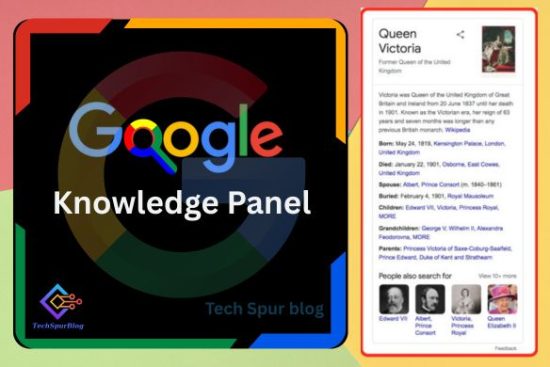 Google Knowledge