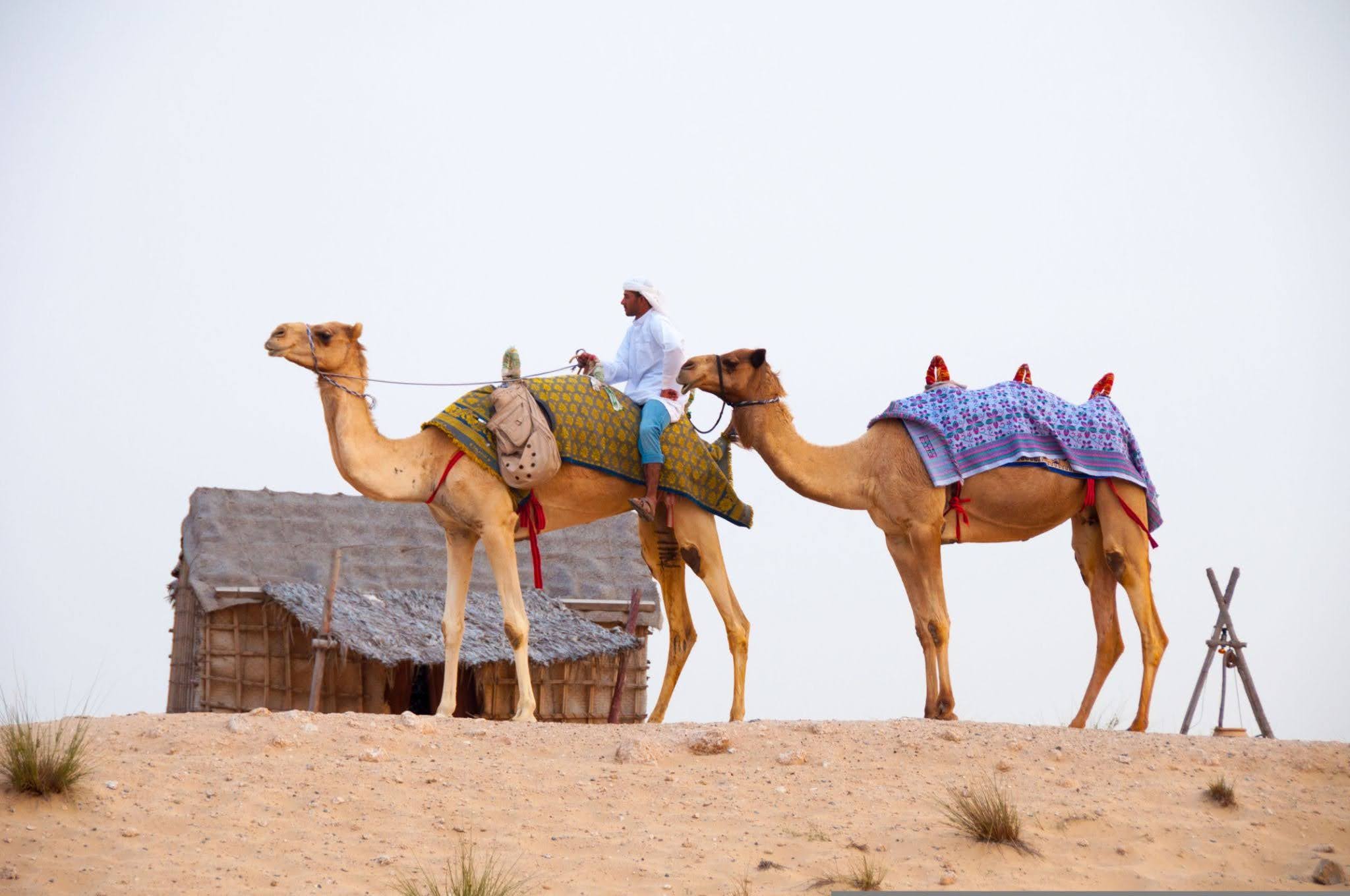 Unforgettable Desert Safari Dubai – Where Adventure Meets Tradition